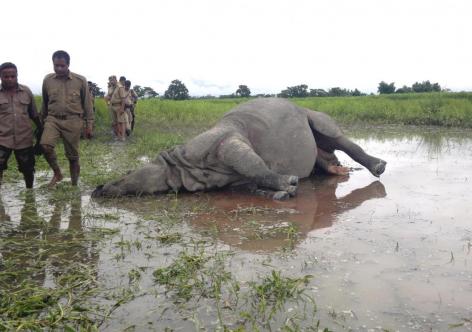 প্ৰতিকী ফটো