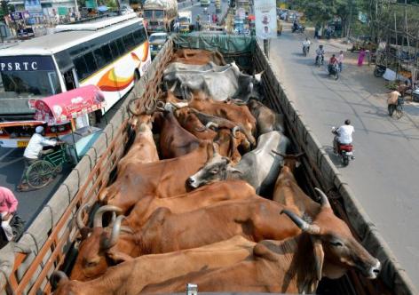 প্ৰতিকী ফটো