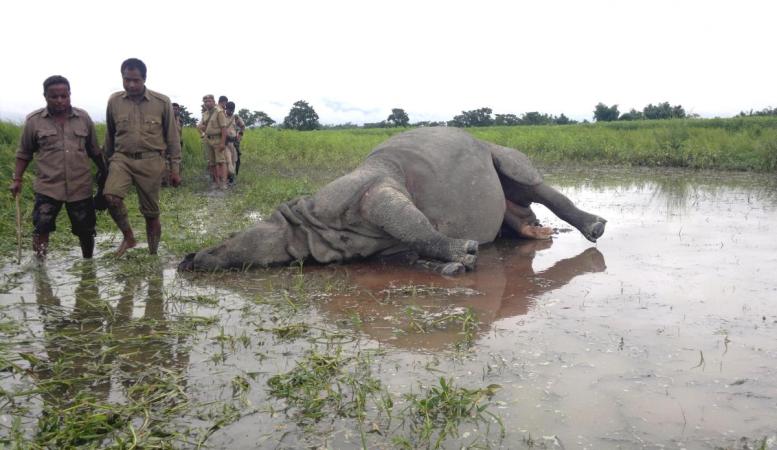 প্ৰতিকী ফটো প্ৰতিকী ফটো