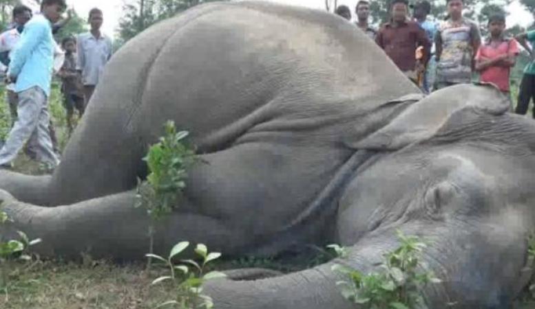 প্ৰতিকী ফটো,উৎস ইন্টাৰনেট প্ৰতিকী ফটো,উৎস ইন্টাৰনেট,