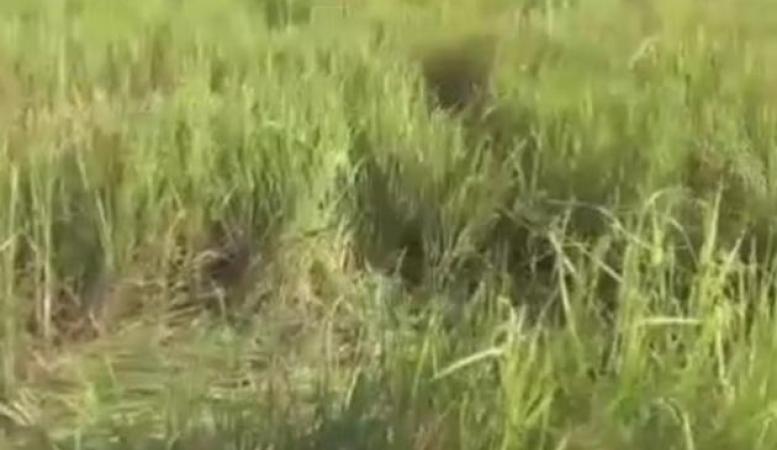 প্ৰতীকি ফটো প্ৰতীকি ফটো