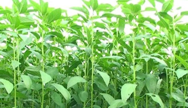 প্ৰতীকি ফটো প্ৰতীকি ফটো