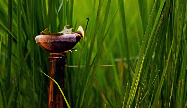 উৎস ইন্টাৰনেট উৎস ইন্টাৰনেট