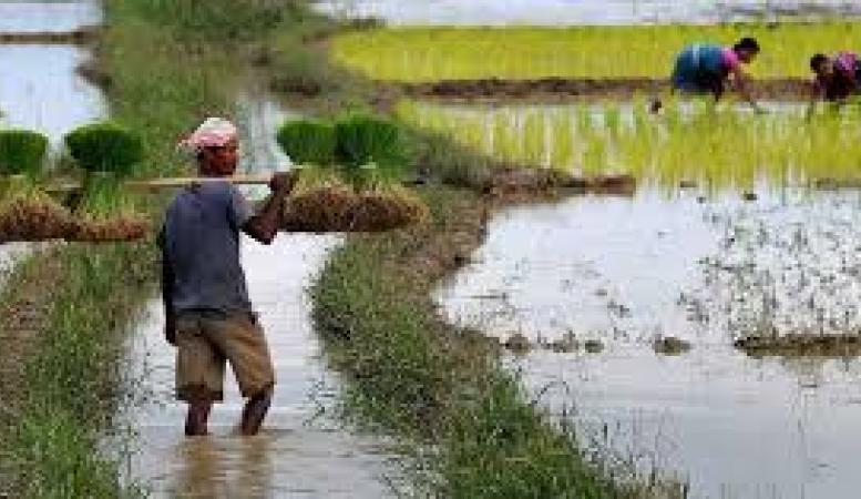 প্ৰতিকী ফটো,উৎস ইন্টাৰনেট
