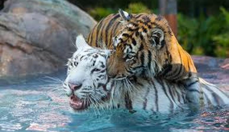 প্ৰতিকী ফটো