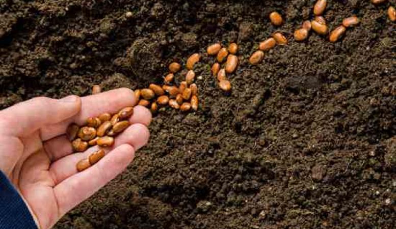 Mother Earth News Mother Earth News